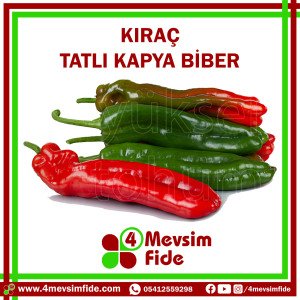 Kıraç Tatlı Kapya Biber Tohumu 1000 Adet