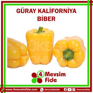 Güray Kaliforniya Biber Tohumu 1000 Adet