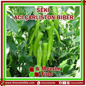 Seki F1 Acı Çarliston Biber Fidesi