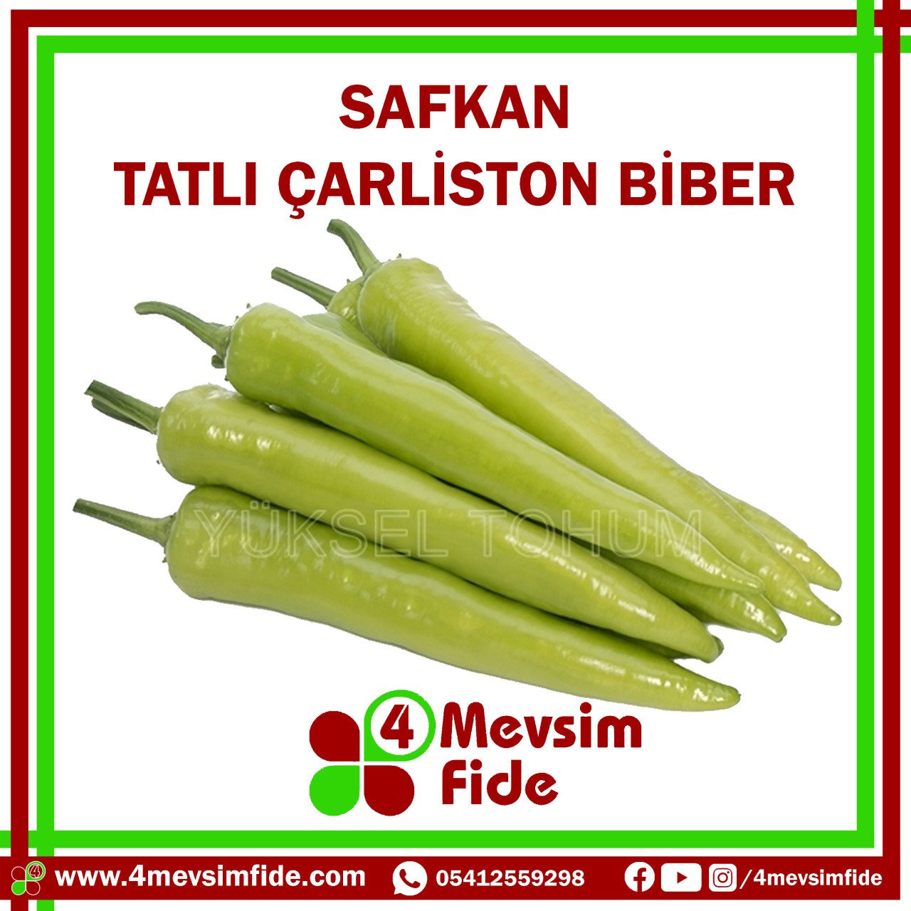 Safkan F1 Tatlı Çarliston Biber Fidesi