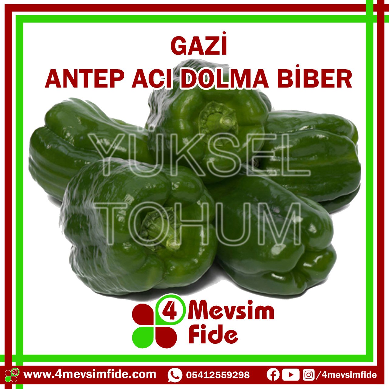 Gazi F1 Acı Dolma Biber Fidesi