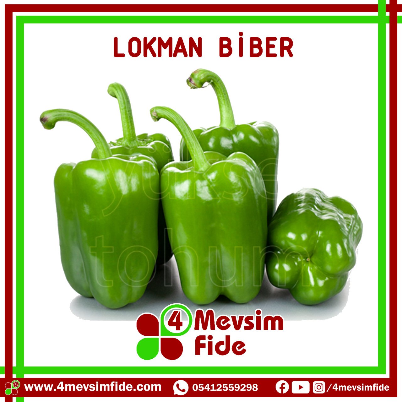 Lokman F1 Dolma Biber Fidesi