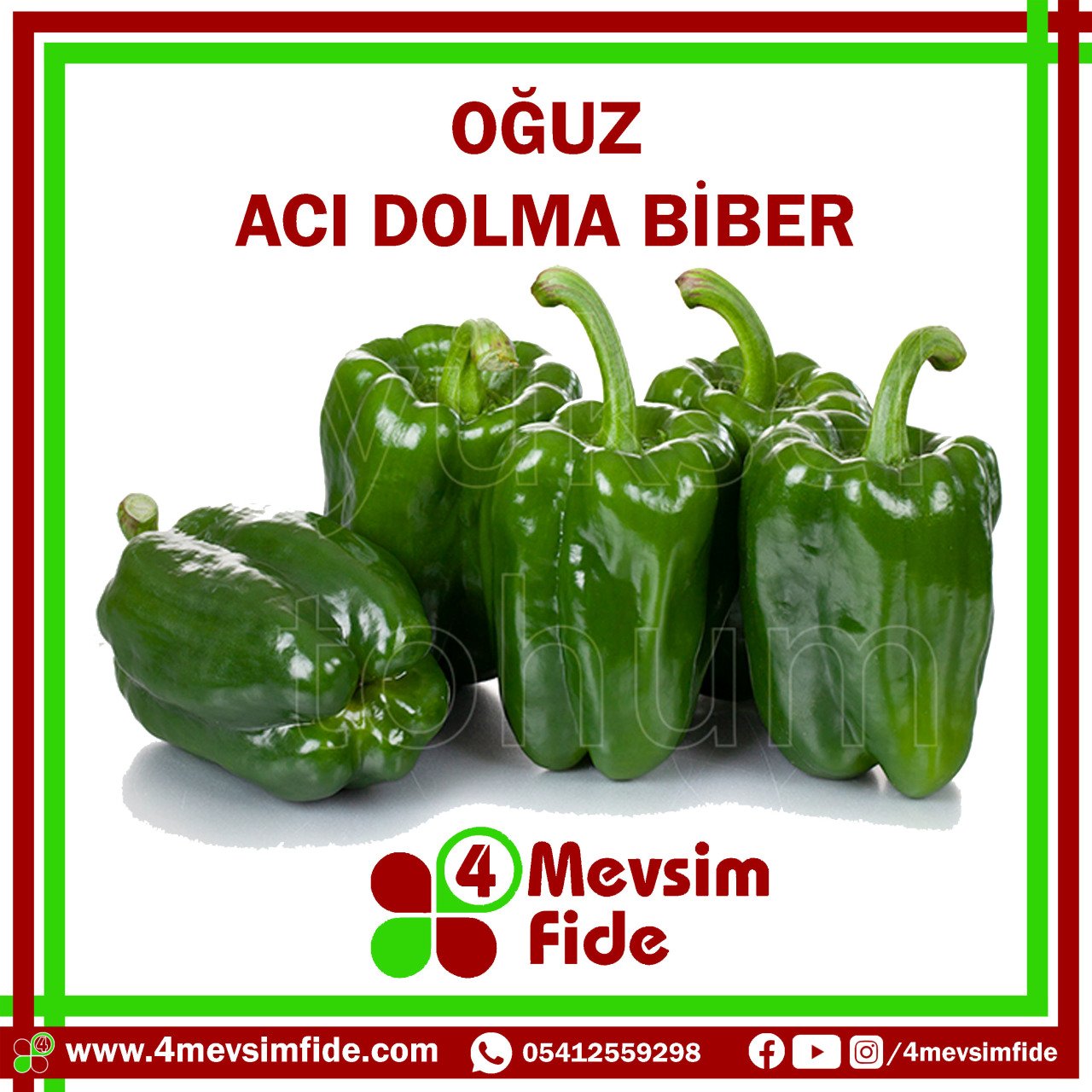 Oğuz Dolma Biber Tohumu 1000 Adet