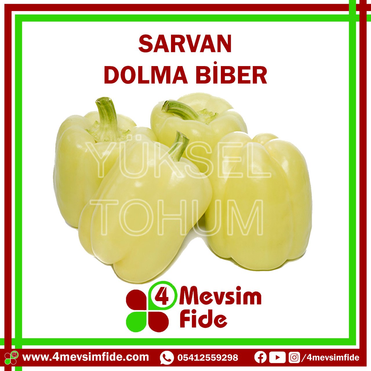 Sarvan Dolma Biber Tohumu 1000 Adet