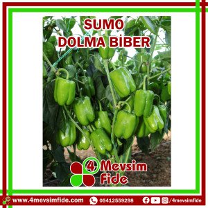 Sumo Dolma Biber Tohumu 1000 Adet