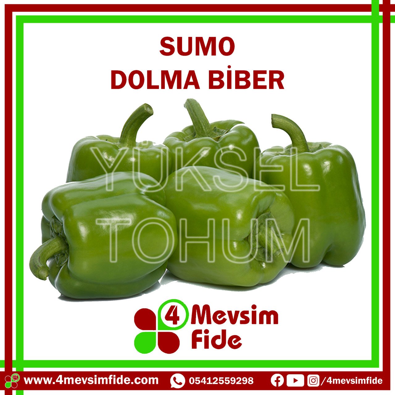 Sumo Dolma Biber Tohumu 1000 Adet