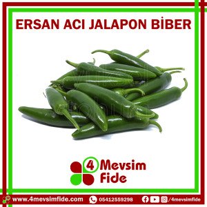 Ersan Acı Jalapon Biber Tohumu 1000 Adet