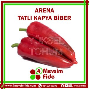 Arena F1 Tatlı Kapya Biber Fidesi