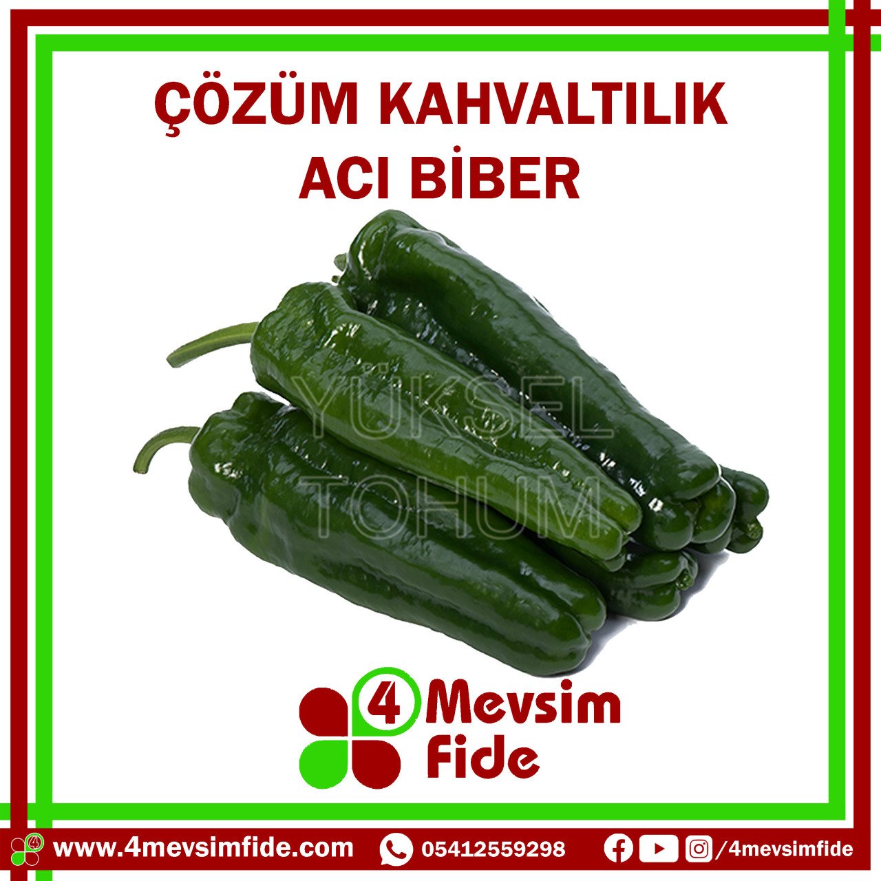 Çözüm Acı Üçburun Biber Tohumu 1000 Adet