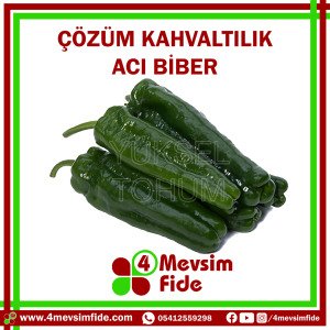 Çözüm F1 Acı Köy Biber Fidesi
