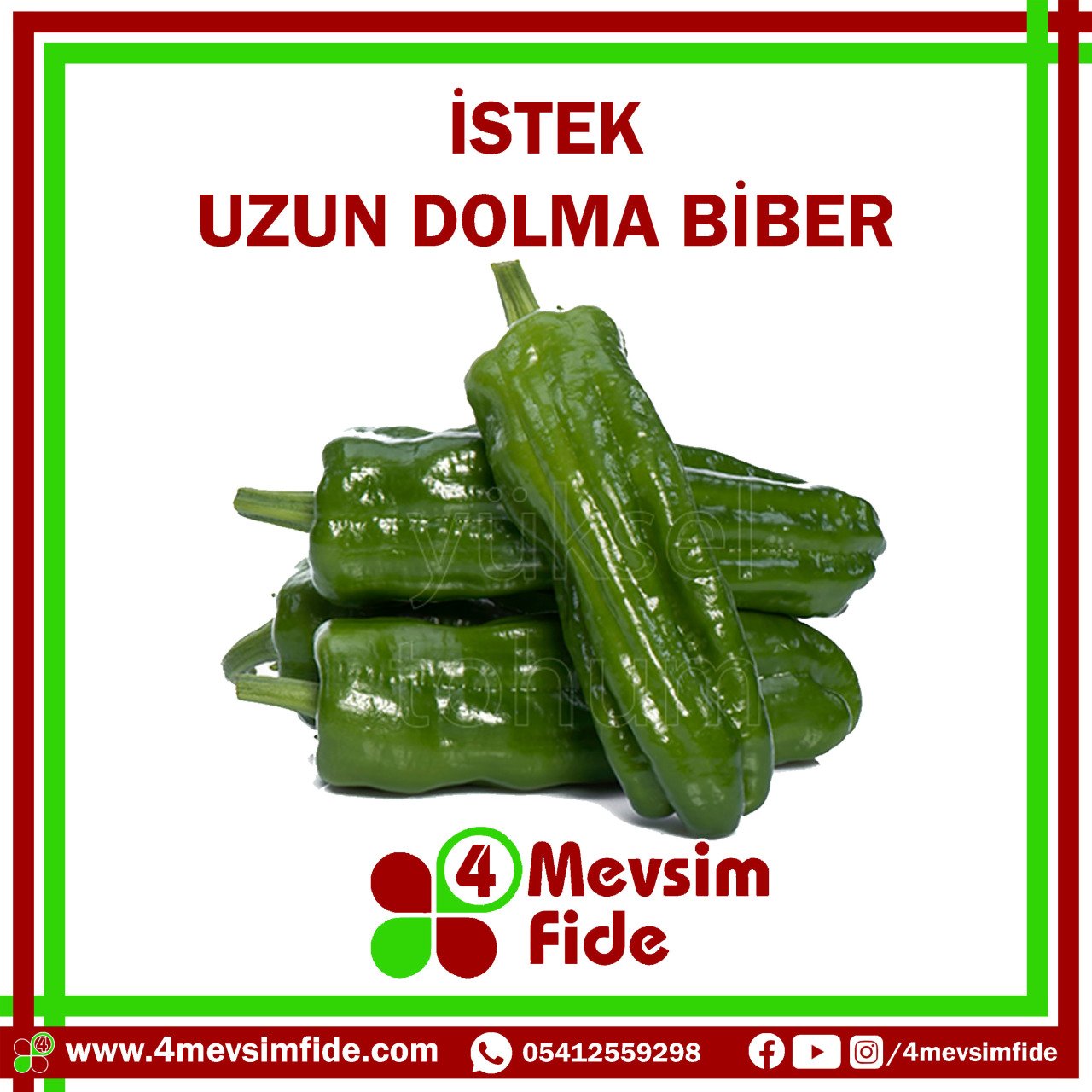 İstek F1 Acı Köy Biber Fidesi