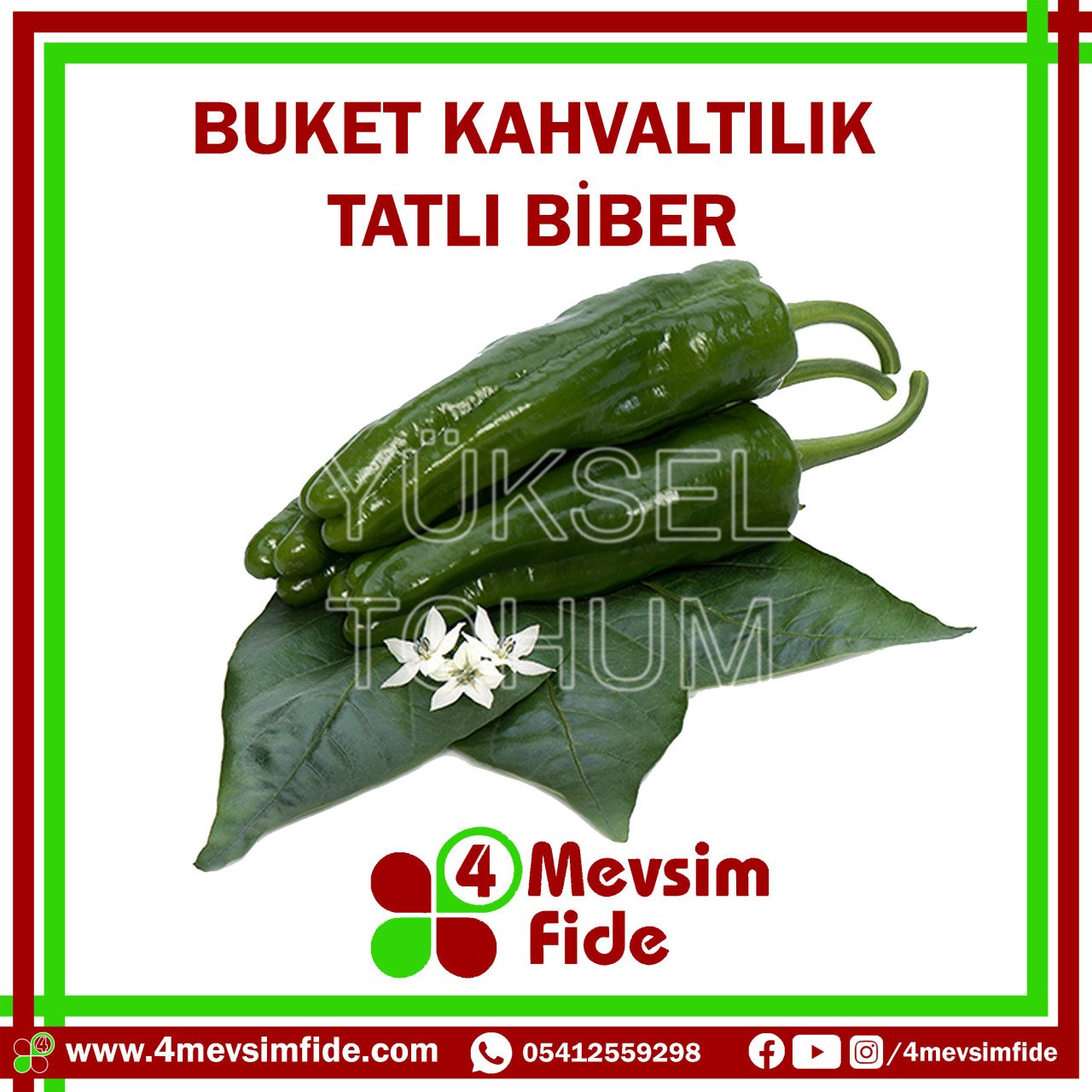 Buket F1 Tatlı Köy Biberi Fidesi