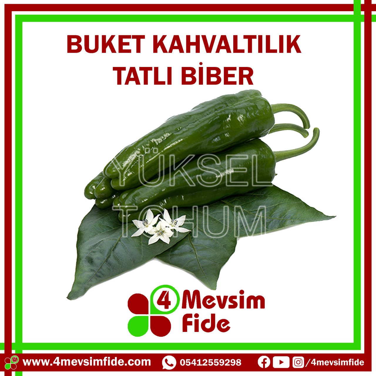 Buket Tatlı Köy Biberi Tohumu 1000 Adet