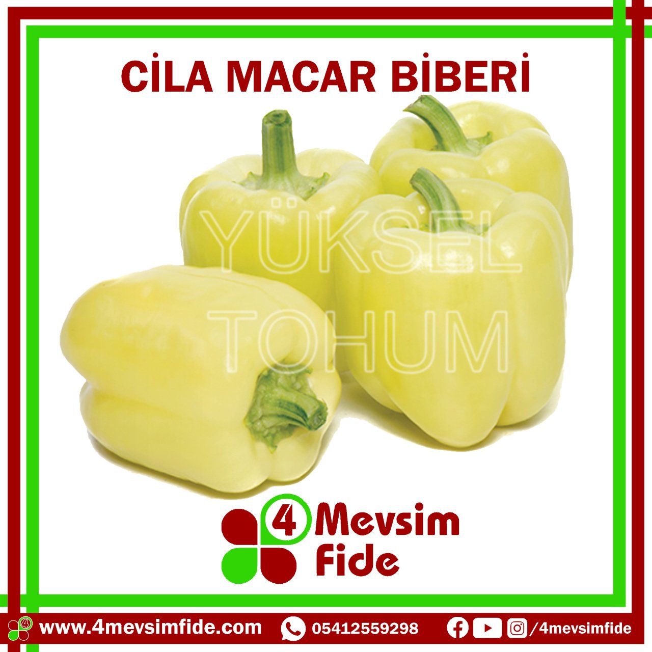 Cila Macar Biber Tohumu 1000 Adet