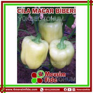 Cila F1 Macar Biber Fidesi