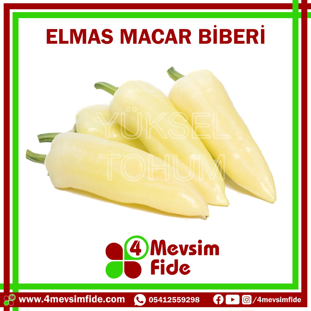 Elmas F1 Macar Biber Fidesi