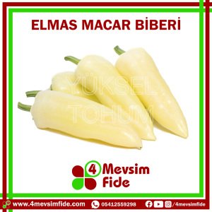 Elmas Macar Biber Tohumu 1000 Adet