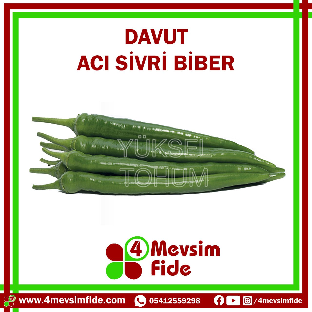 Davut F1 Acı Sivri Biber Tohumu 1000 Adet