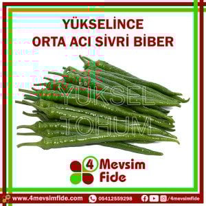Yükselince F1 Acı Sivri Biber Fidesi