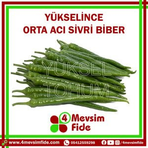 Yükselince F1 Acı Sivri Biber Fidesi