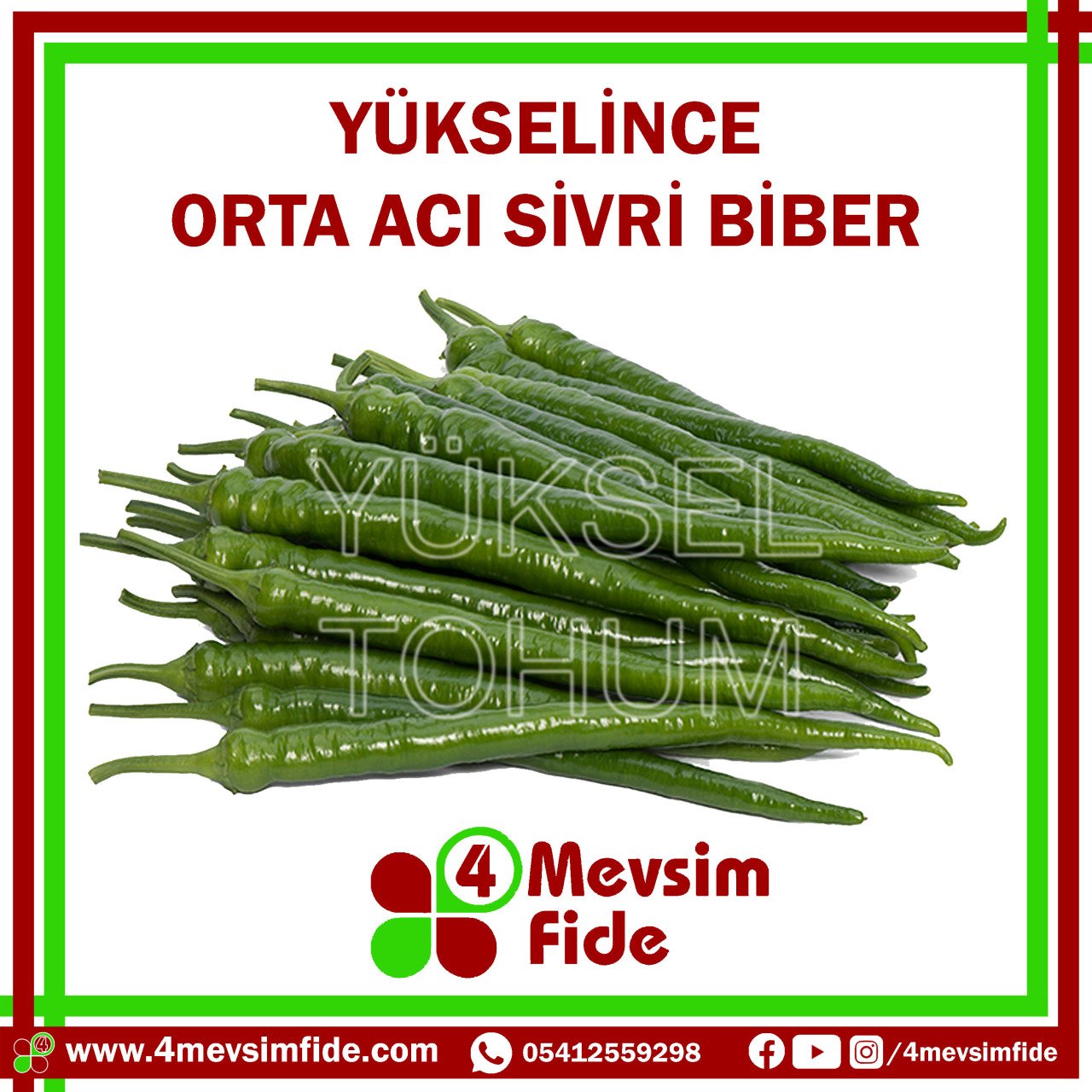 Yükselince Acı Sivri Biber Tohumu 1000 Adet
