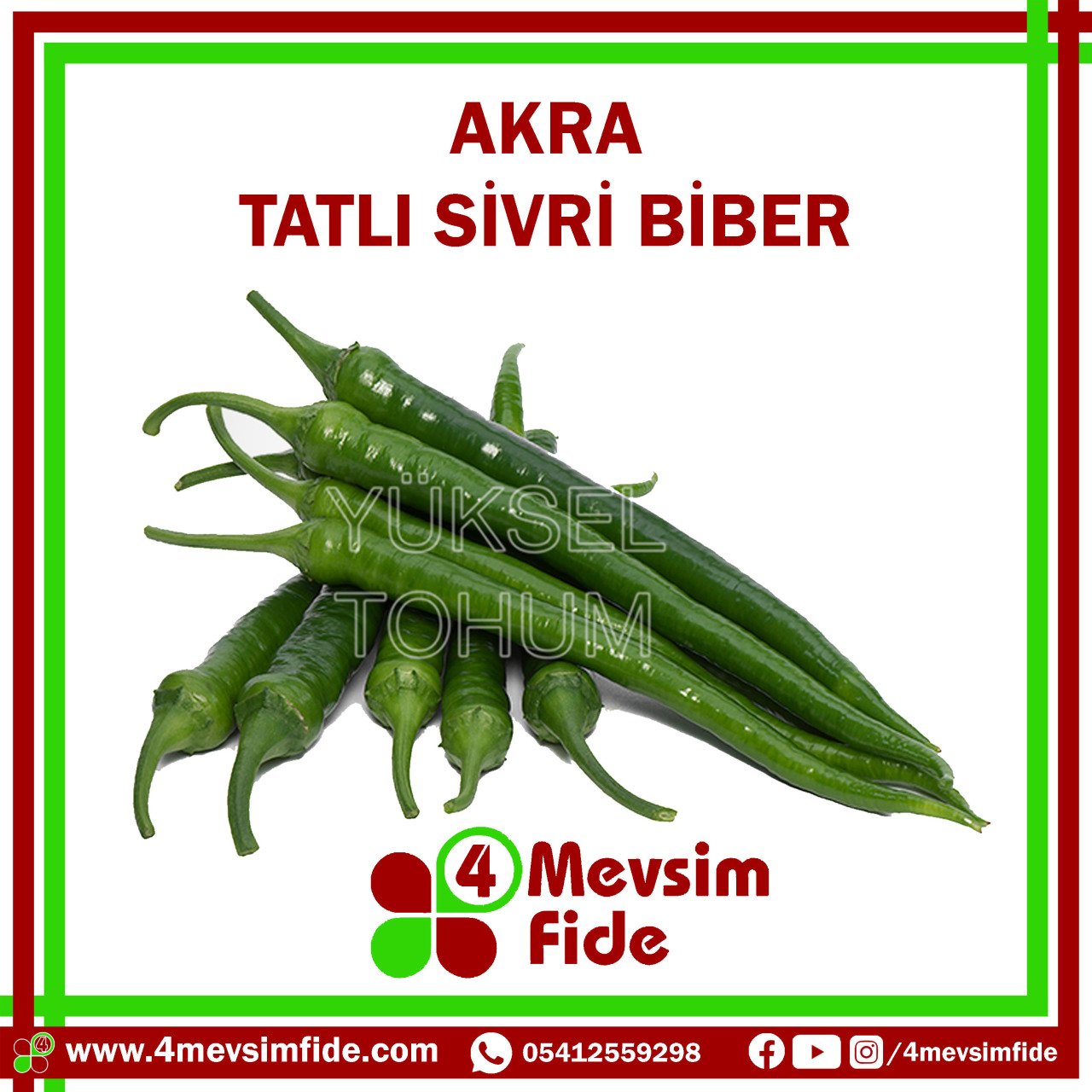 Akra F1 Tatlı Sivri Biber Fidesi