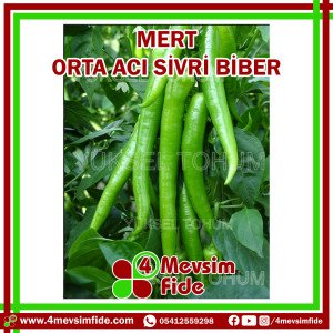 Mert F1 Acı Sivri Biber Fidesi