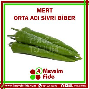 Mert F1 Acı Sivri Biber Fidesi