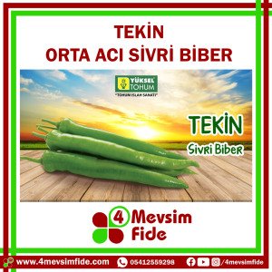 Tekin F1 Orta Acı Sivri Biber Fidesi