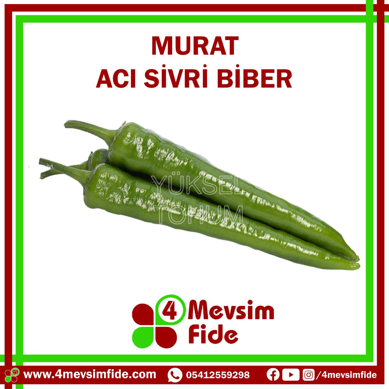 Murat F1 Orta Acı Sivri Biber Fidesi