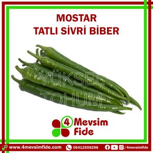 Mostar F1 Tatlı Sivri Biber Fidesi