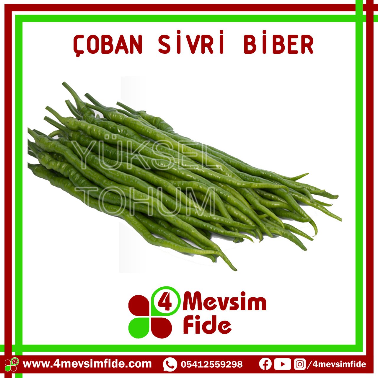 Çoban Acı Sivri Biber Tohumu 1000 Adet