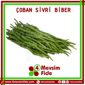 Çoban Acı Sivri Biber Tohumu 1000 Adet