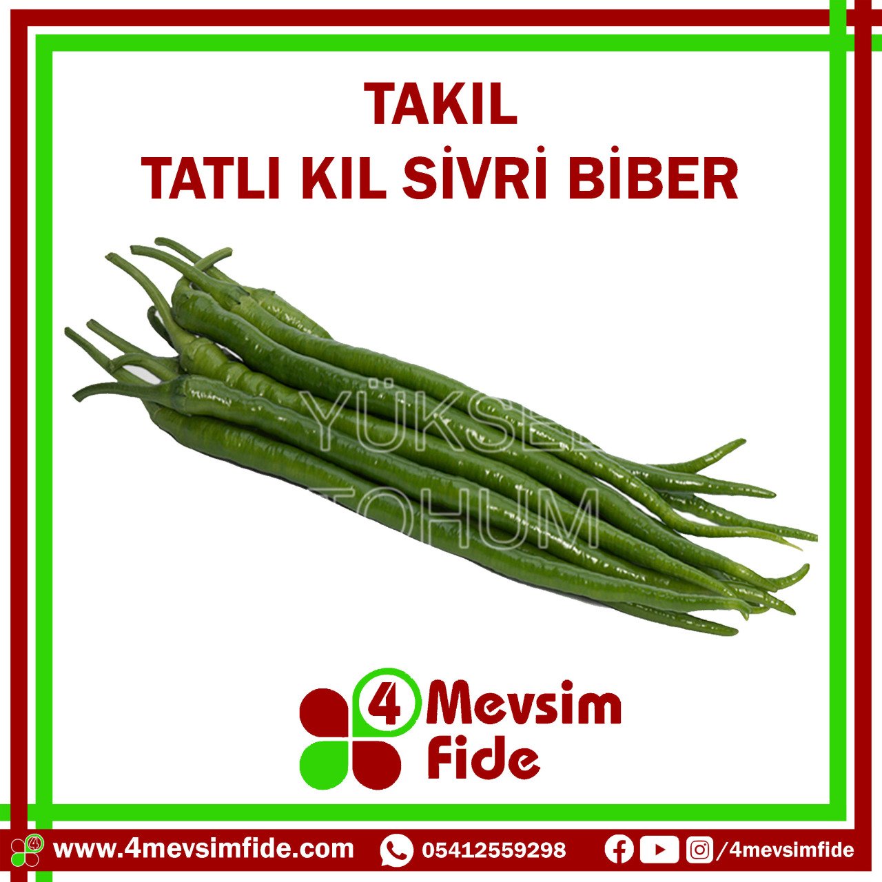 Takıl Tatlı Kıl Biber Tohumu 1000 Adet
