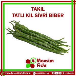 Takıl Tatlı Kıl Biber Tohumu 1000 Adet