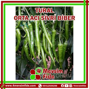 Tural F1 Orta Acı Sivri Biber Fidesi