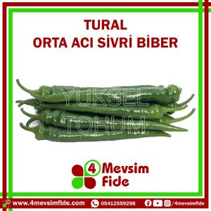 Tural F1 Orta Acı Sivri Biber Fidesi