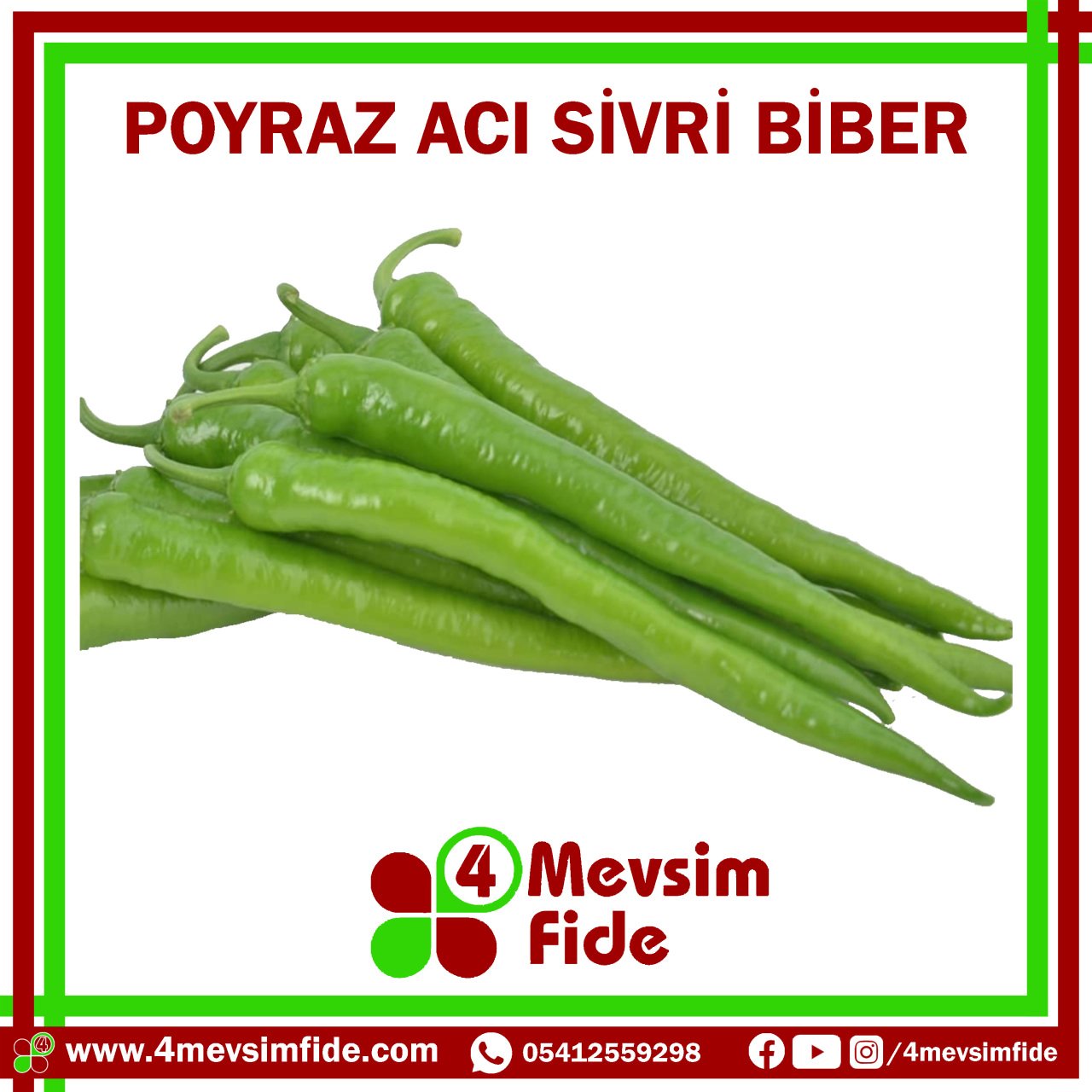 Poyraz Acı Sivri Biber Tohumu 1000 Adet