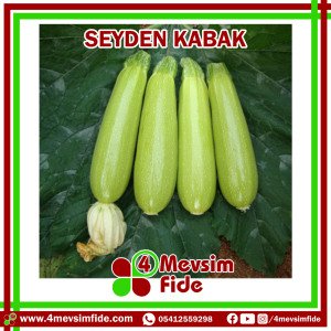 Seyden Kabak Tohumu 100 Gram