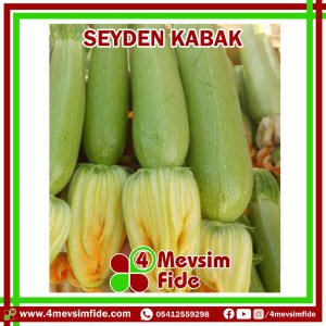 Seyden Kabak Tohumu 100 Gram