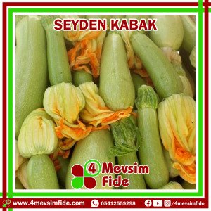 Seyden Kabak Tohumu 100 Gram