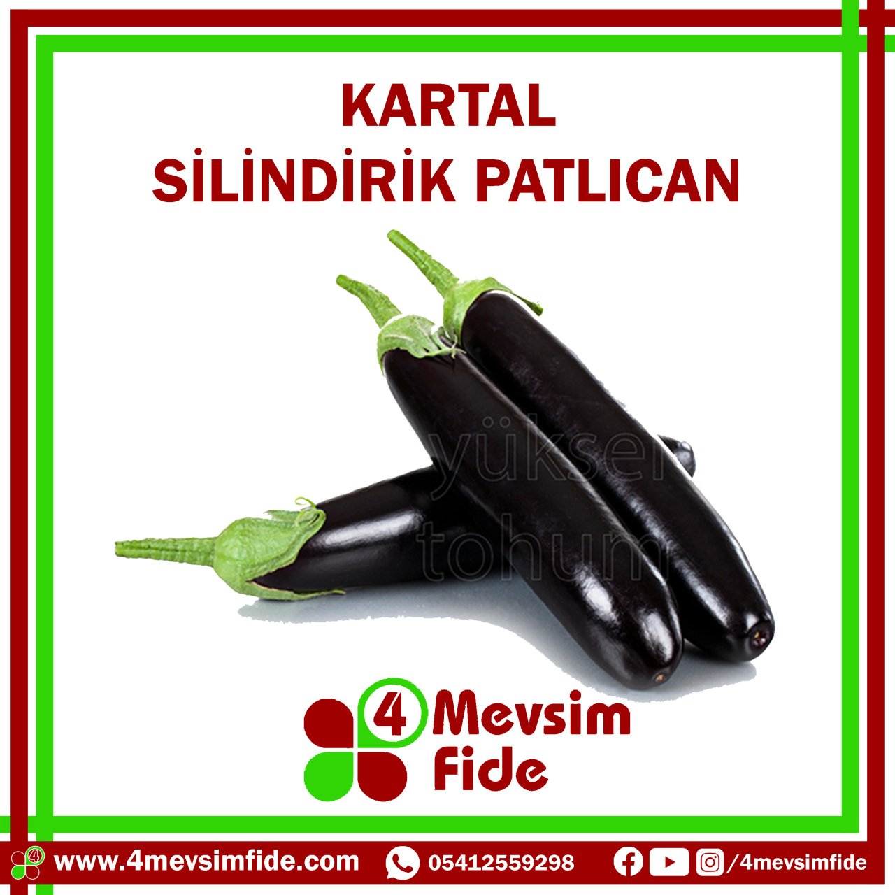 Kartal F1 Silindirik Patlıcan Fidesi