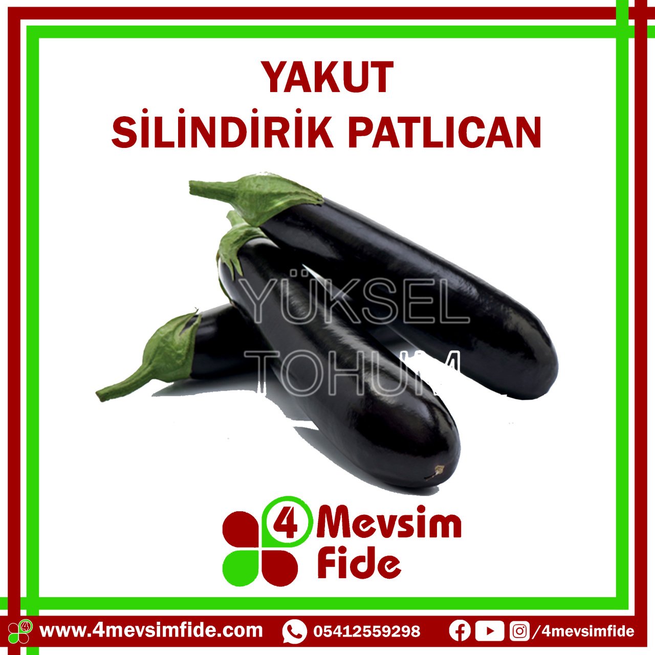 Yakut F1 Silindirik Patlıcan Fidesi