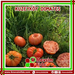 Kuzeyköy Domates Tohumu 1000 Adet