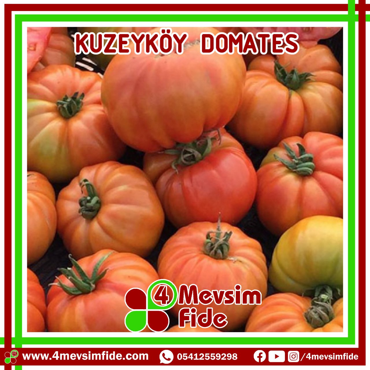 Kuzeyköy Domates Tohumu 1000 Adet