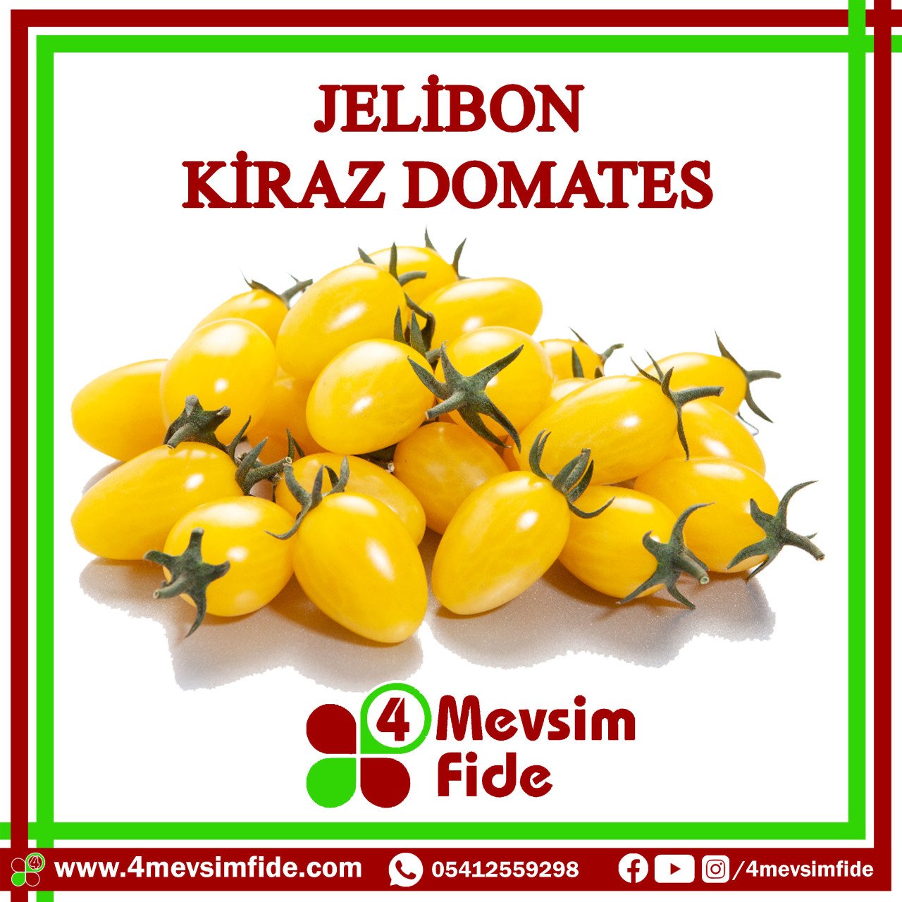 Jelibon Kiraz Domates Tohumu 1000 Adet