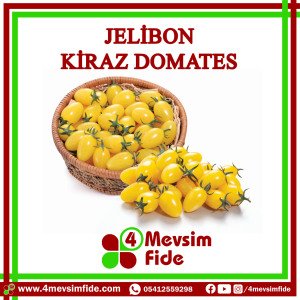 Jelibon Kiraz Domates Tohumu 1000 Adet