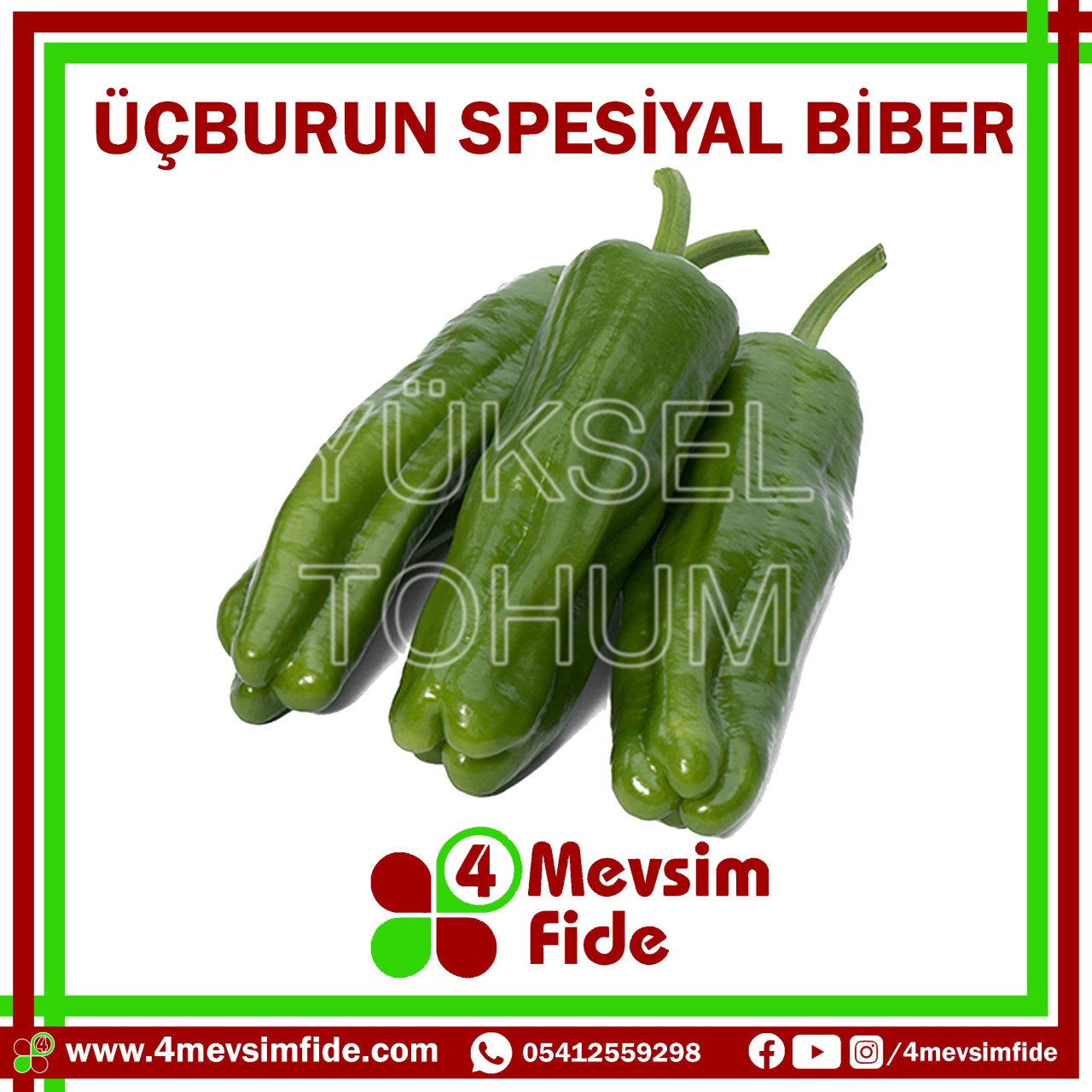 Üçburun Tatlı Biber Tohumu 1000 Adet