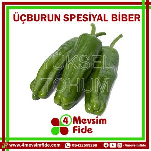 Üçburun Tatlı Biber Tohumu 1000 Adet