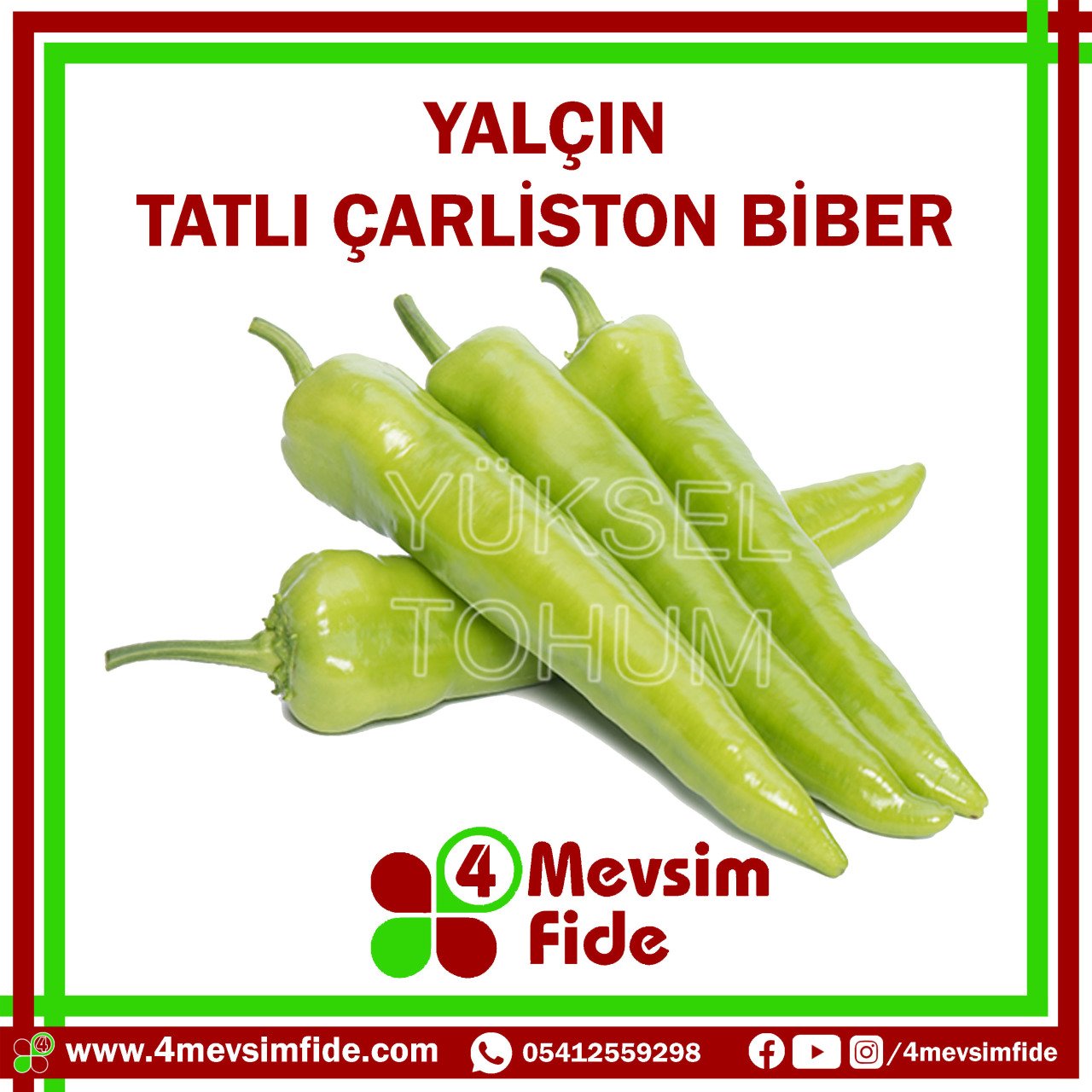 Yalçın Çarliston Biber Tohumu 1000 Adet